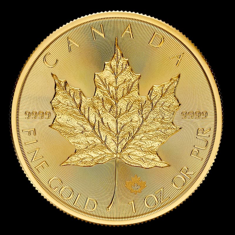 Maple Leaf